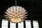 Palm | Freedom Of Creation