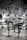 Piano | Johanson Design