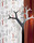 Forest | Svensson Markspelle