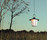 Passage | Kevin Reilly Lighting