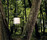Cerchio | Kevin Reilly Lighting