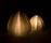 urchin softlight | molo