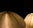 urchin softlight | molo