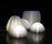 urchin softlight | molo