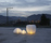 urchin softlight | molo