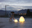 urchin softlight | molo