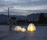 urchin softlight | molo