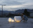 urchin softlight | molo