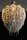 Protea Chandeliers | Willowlamp