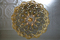 Protea Chandeliers | Willowlamp