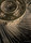 Circular Cropped | Willowlamp