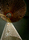 Long Lanterns | Willowlamp