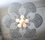 Moonflower Chandeliers | Willowlamp