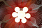 Moonflower Chandeliers | Willowlamp