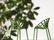 Vegetal | Vitra