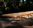 Kauri | Riva 1920