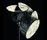 Rock | Foscarini
