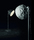 Rock | Foscarini
