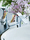 Axor Urquiola | Hansgrohe