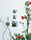Axor Urquiola | Hansgrohe