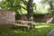 primavera giardino | tossa