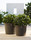 Botanic Pot | Cane-line