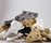Play shelving | MOVISI