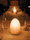 Egg | Neoz Lighting