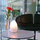 Egg | Neoz Lighting