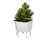 Elevation Planting | FLORA