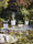 Elevation Planting | FLORA