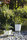 Elevation Planting | FLORA