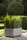 UUU | FLORA