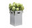 Box | FLORA