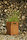 Box | FLORA