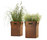Box | FLORA