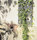 Grow | FLORA