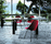 Monday | Gallotti & Radice