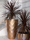 Vases | Vondom