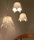 Delight | Innermost