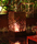 EcoSmart™ Lantern | EcoSmart™ Fire