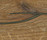 mafi Coral OAK gold | mafi
