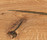 mafi Coral OAK gold | mafi