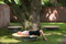 primavera urbano | tossa