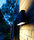 Solo | Jacco Maris