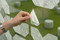Gecko in the Box | Création Baumann