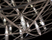 raimond | moooi