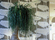 Glass | Dolce Vita | Elitis