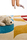 Amusée | Now Carpets