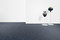 Botanic | Bolon